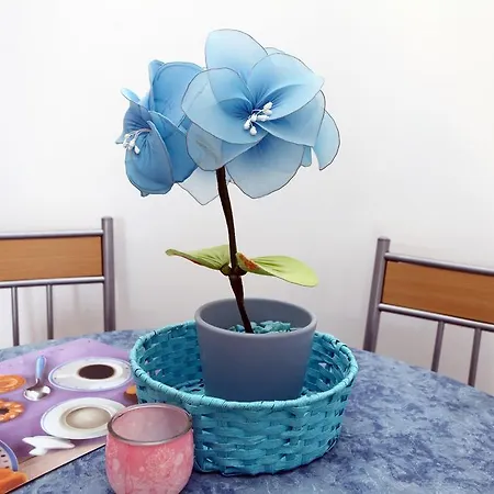 Parenzana Sea View Sk Portorož