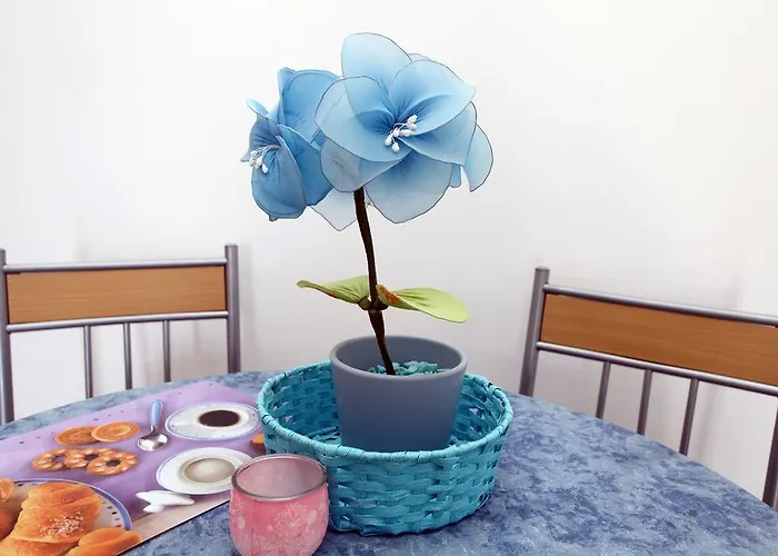 Parenzana Sea View Sk Portoroz